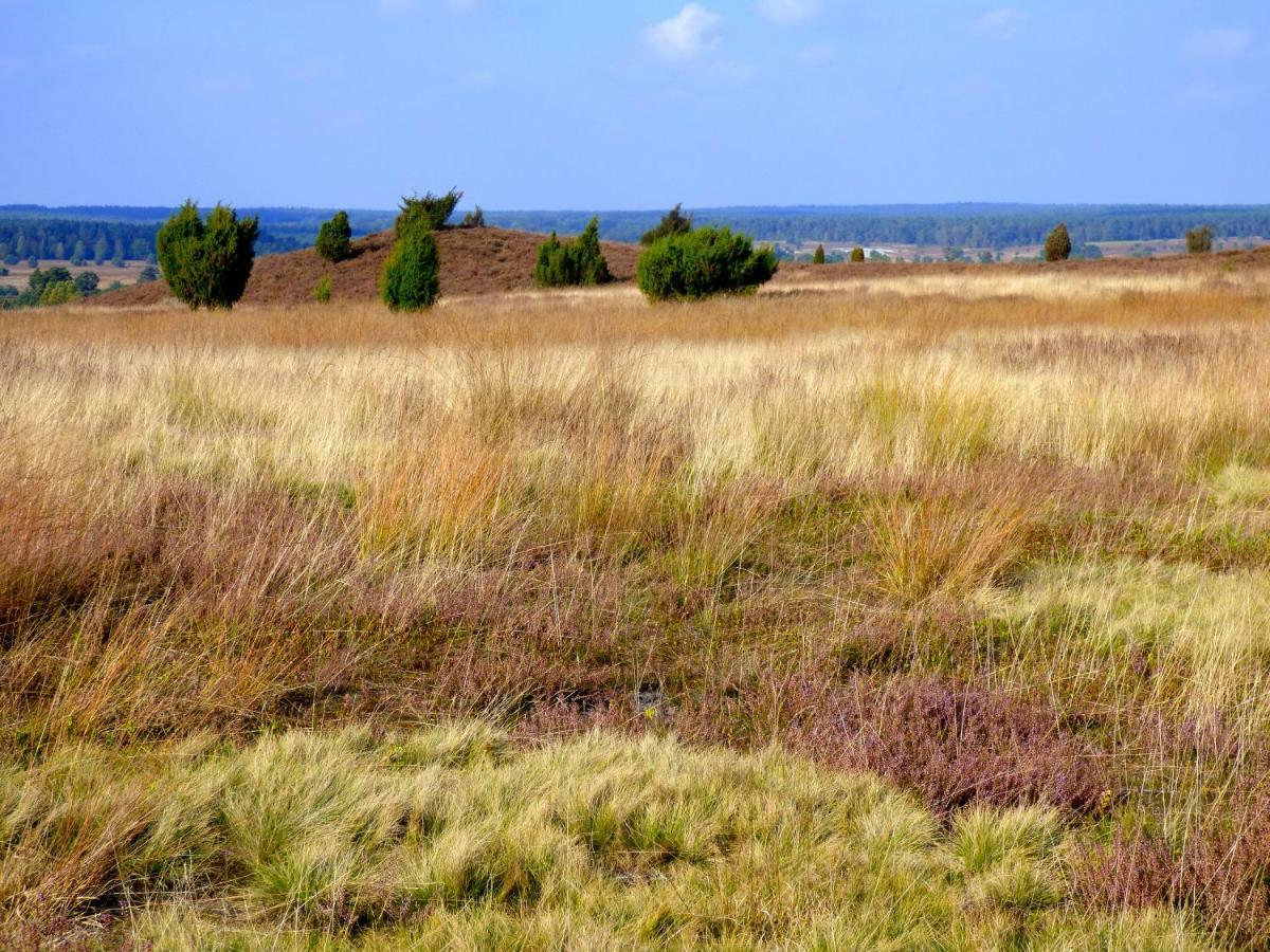 Fewo-Mundi Egestorf Extérieur photo